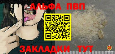 шишки Новодвинск