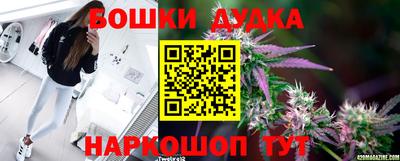 шишки Новодвинск