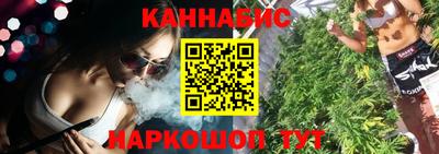 шишки Новодвинск