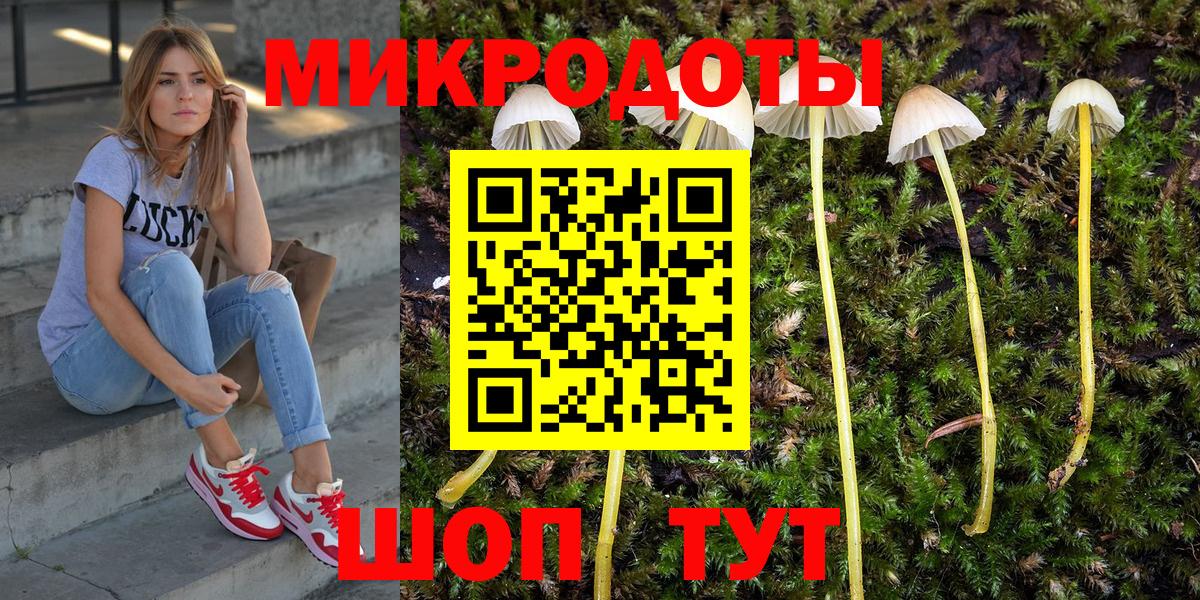 Галлюциногенные грибы Psilocybine cubensis Реж